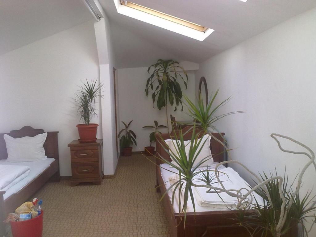 Guest House Todorini Kashti Копривштица Номер фото
